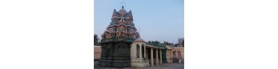 215. திருநெல்வாயில் அரத்துறை